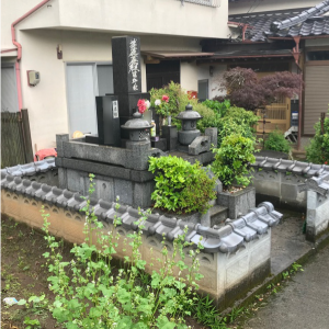 ID:23395